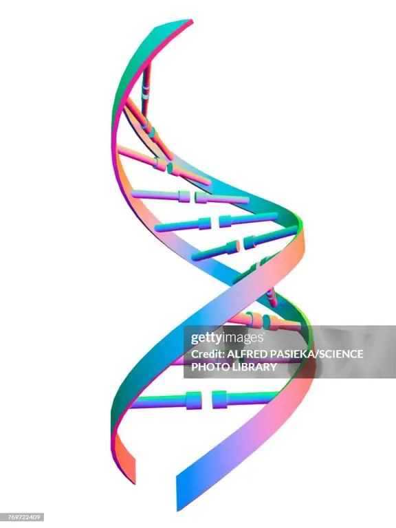 Ilustrasi untaian DNA