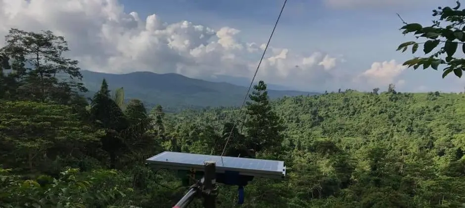 Suasana alam dengan suara hewan yang beragam