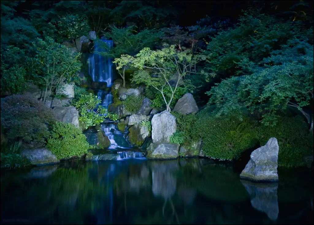 Taman Jepang di malam hari dengan bunga sakura