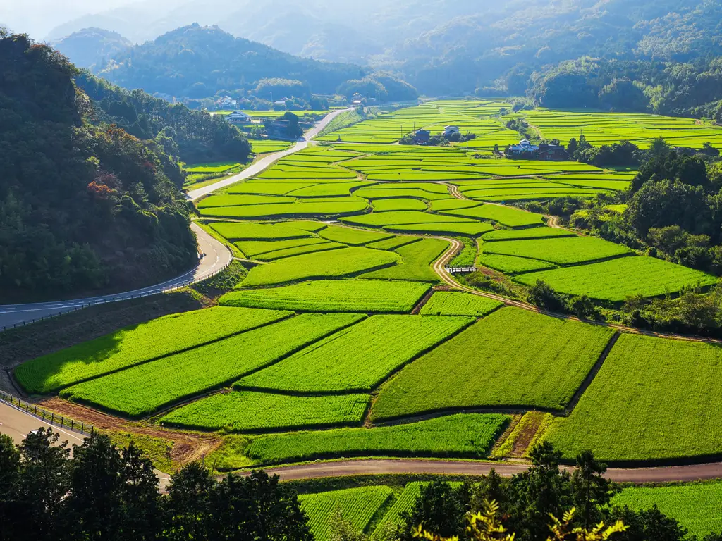 Foto pertanian di pedesaan Jepang