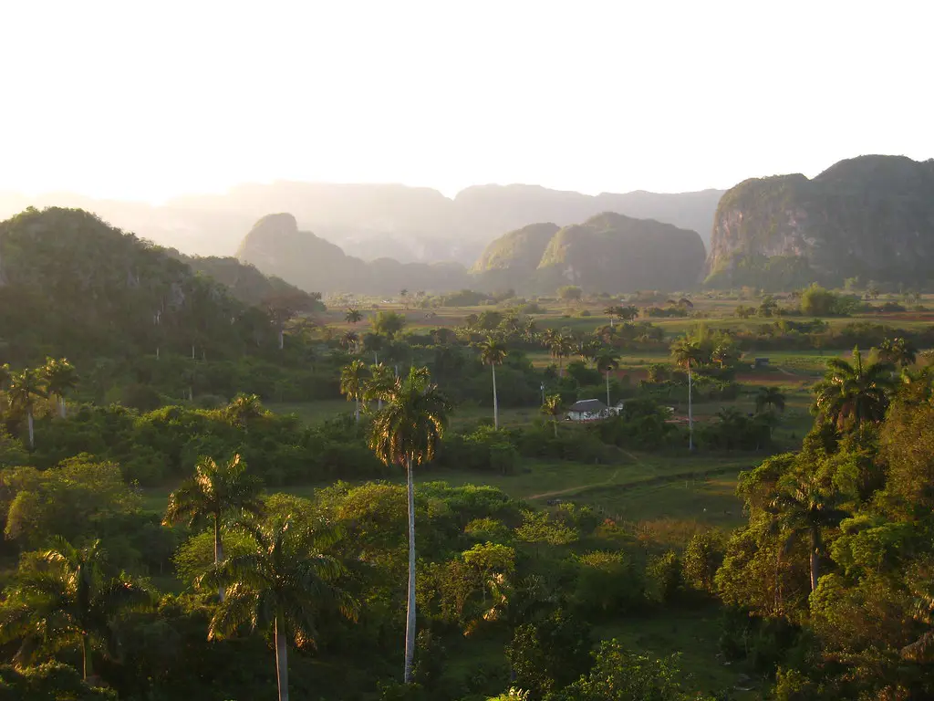 Pemandangan prasejarah yang indah di Prehistoric Park