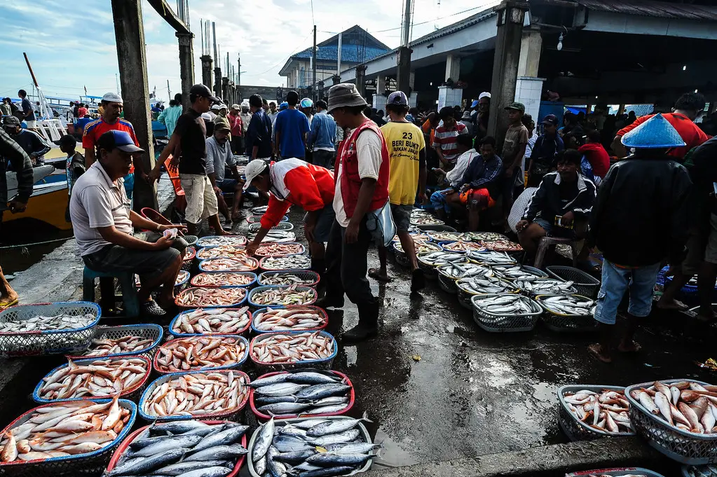 Aktivitas jual beli ikan gurame di Penggilingan