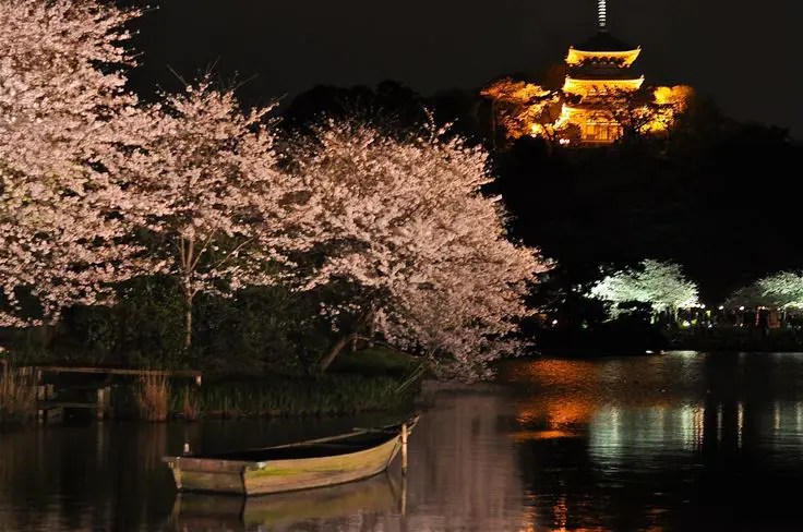 Taman Jepang yang indah di malam hari dengan cahaya bulan