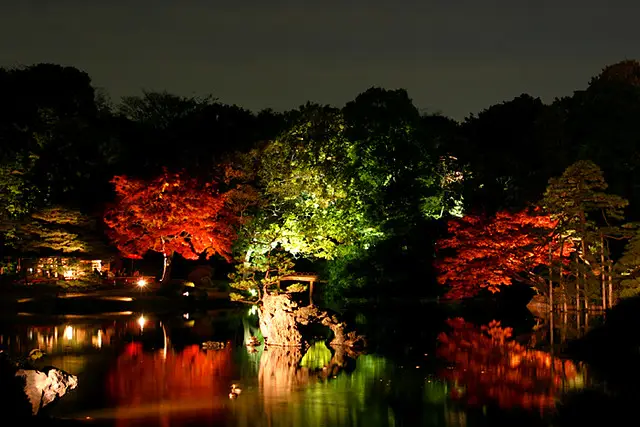 Taman Jepang di malam hari