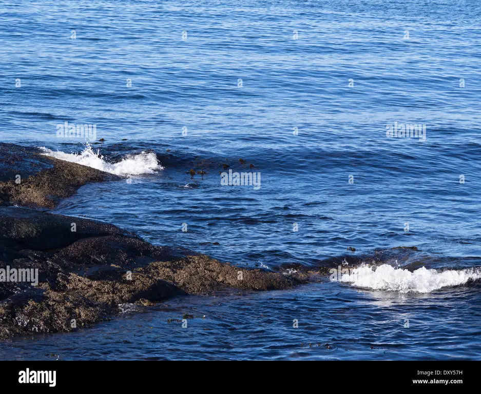 Laut tenang dengan gelombang kecil yang menenangkan