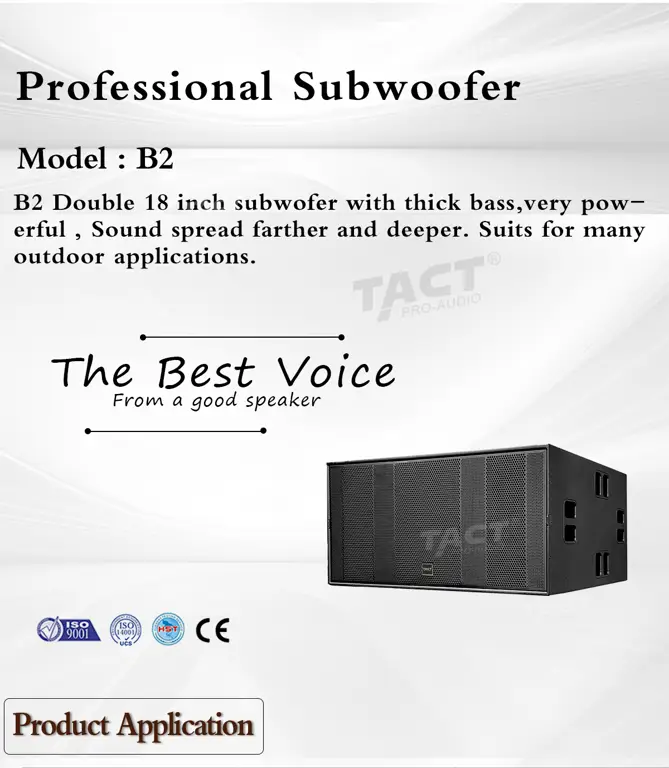 Gambar sebuah subwoofer 18 inci yang digunakan di luar ruangan