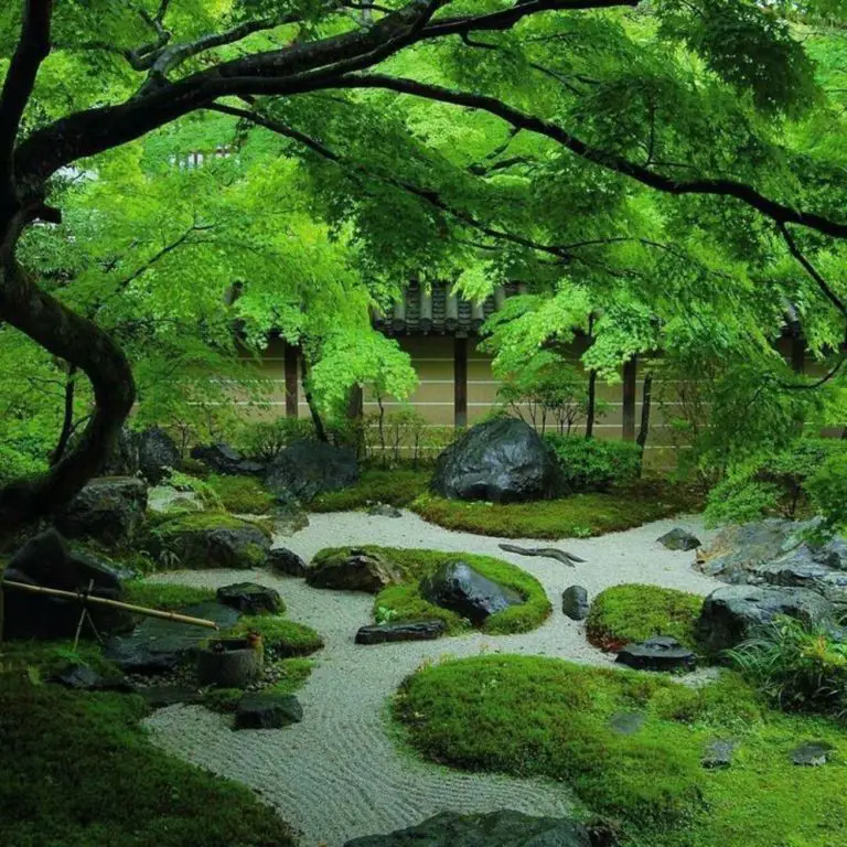 Gambar taman Zen Jepang yang tenang