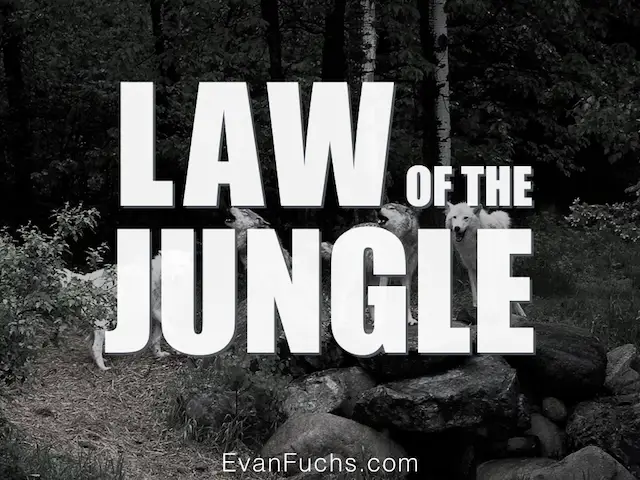 Tantangan dalam acara Law of the Jungle