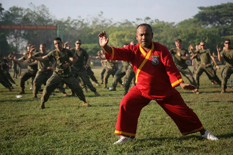 Demonstrasi bela diri Indonesia dengan menggunakan pedang tongkat