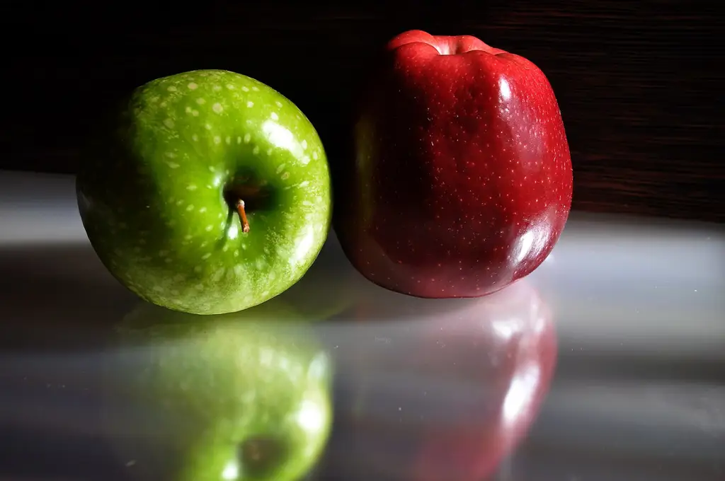 Detail tekstur dan warna buah kamboja yang telah matang