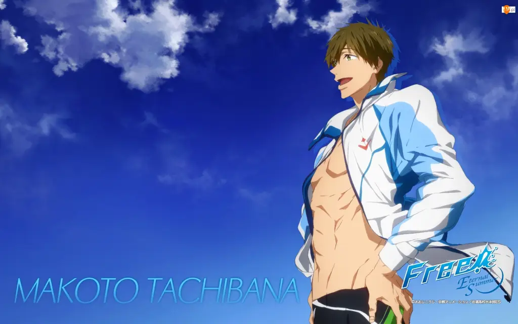 Makoto Tachibana dari Free! Iwatobi Swim Club