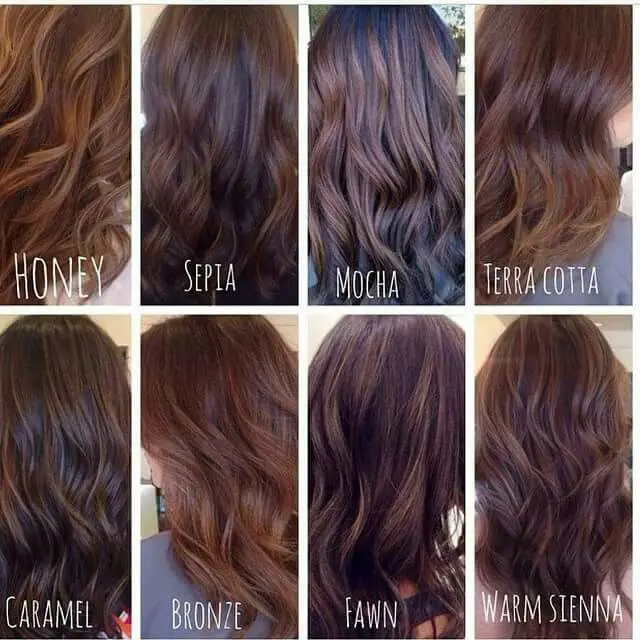 Beragam pilihan warna rambut coklat