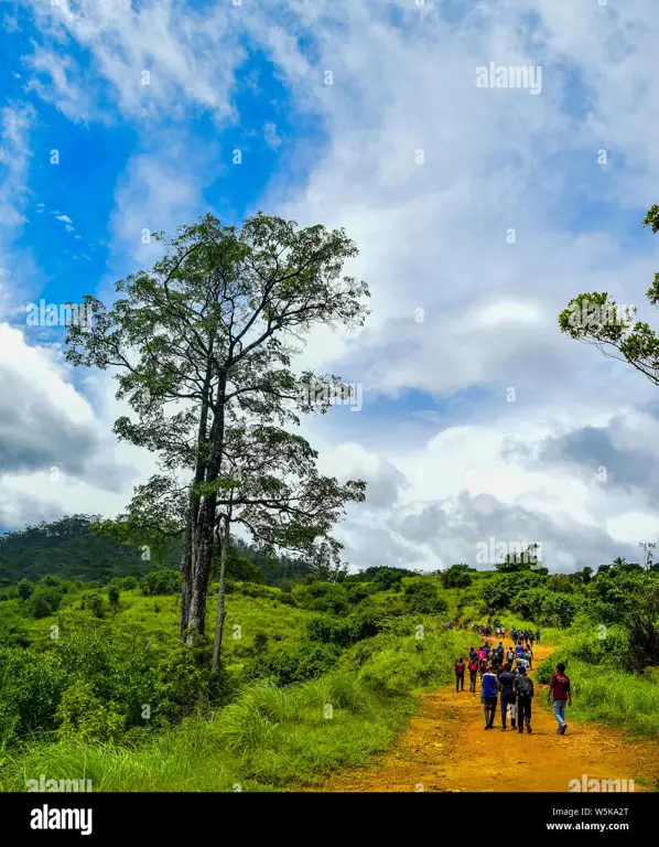 Sebuah tim ekspedisi menjelajahi hutan