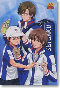 Tim Tenis Seishun Academy