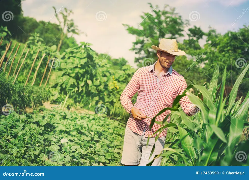 Petani bahagia sedang bekerja di ladang