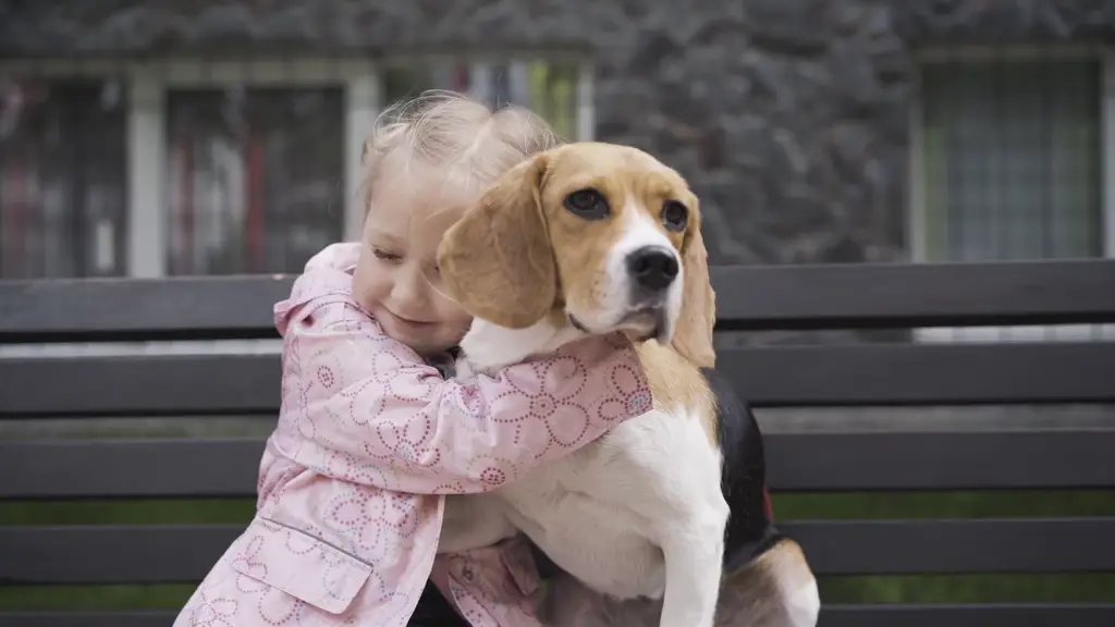 Gadis dan anjing sedang berpelukan