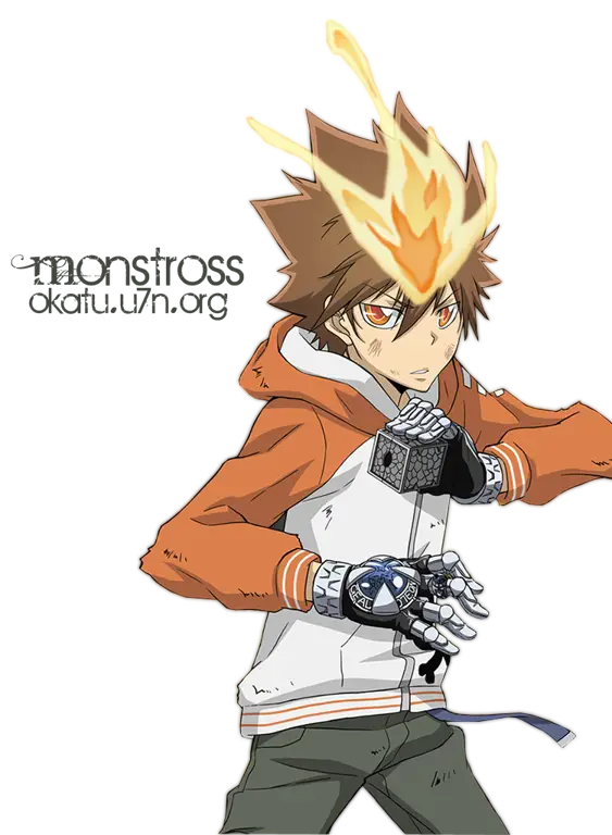 Tsuna Sawada, karakter utama dalam anime Katekyo Hitman Reborn!