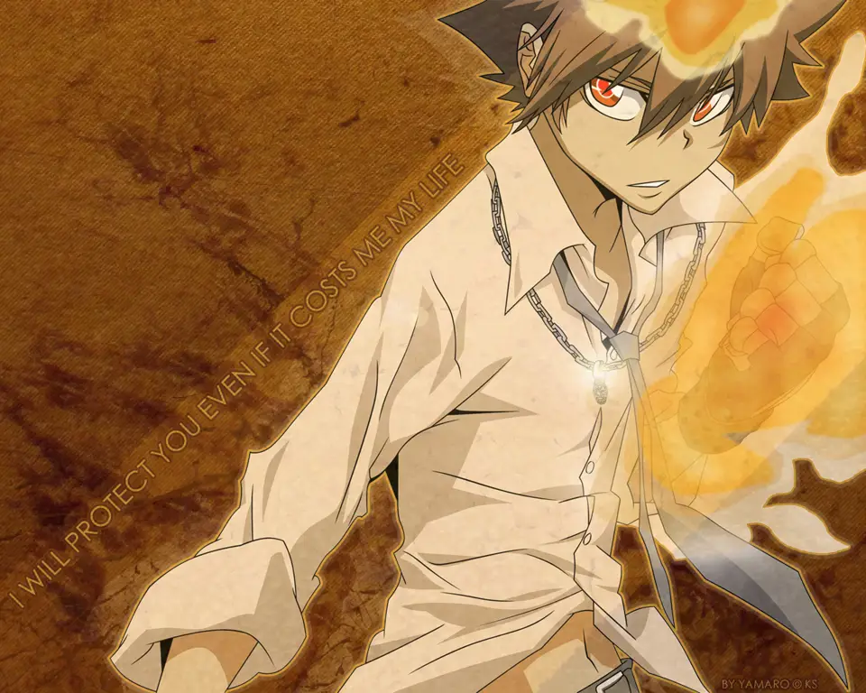 Gambar Tsuna Sawada dari Katekyo Hitman Reborn