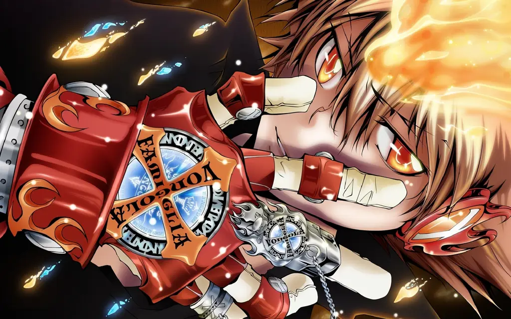 Tsuna Sawada, karakter utama dalam anime Katekyo Hitman Reborn!