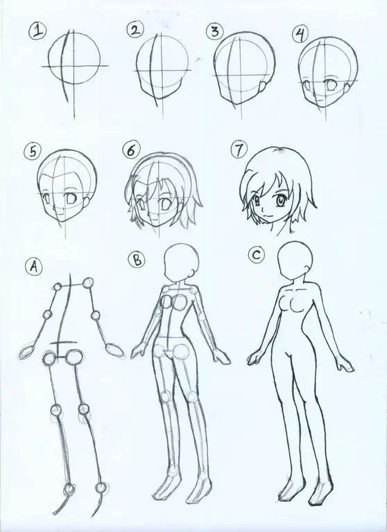 Tutorial menggambar anime untuk pemula