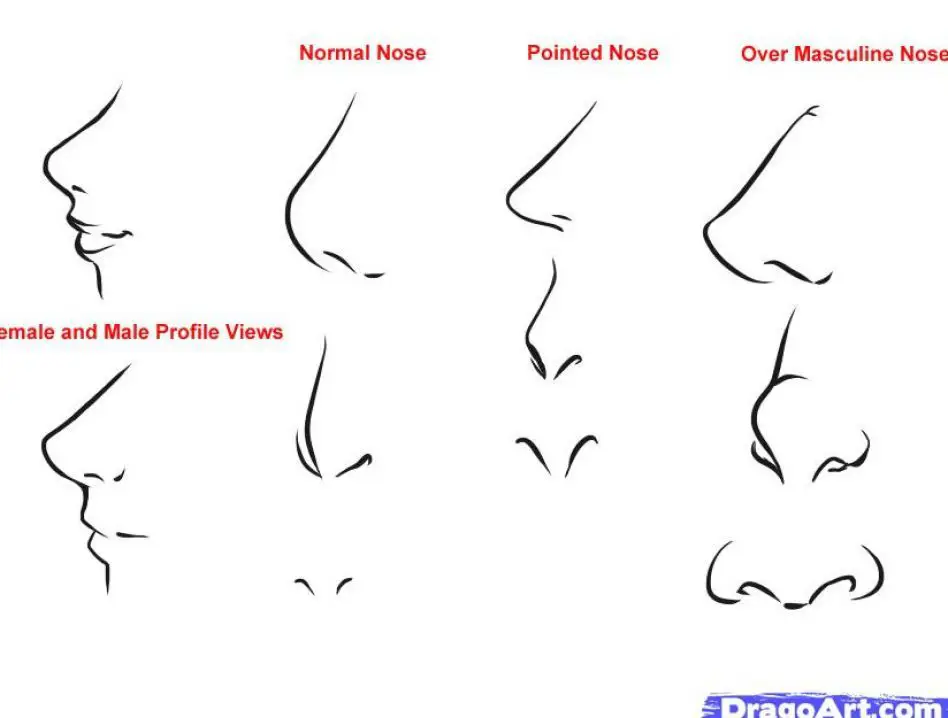 Tutorial menggambar hidung anime langkah demi langkah