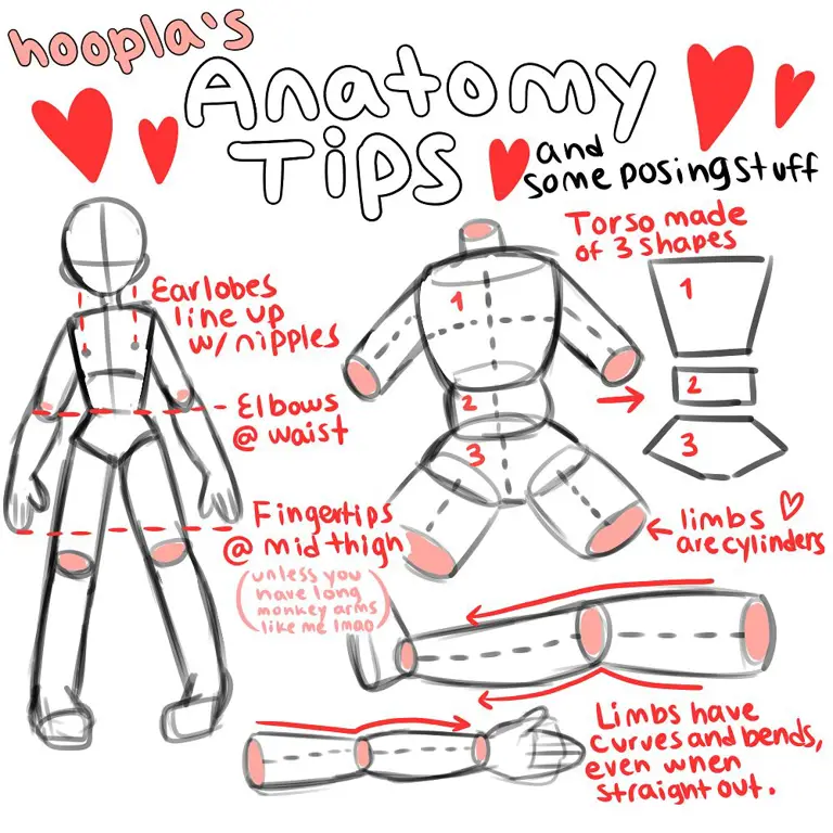 Tutorial sketsa tubuh anime langkah demi langkah