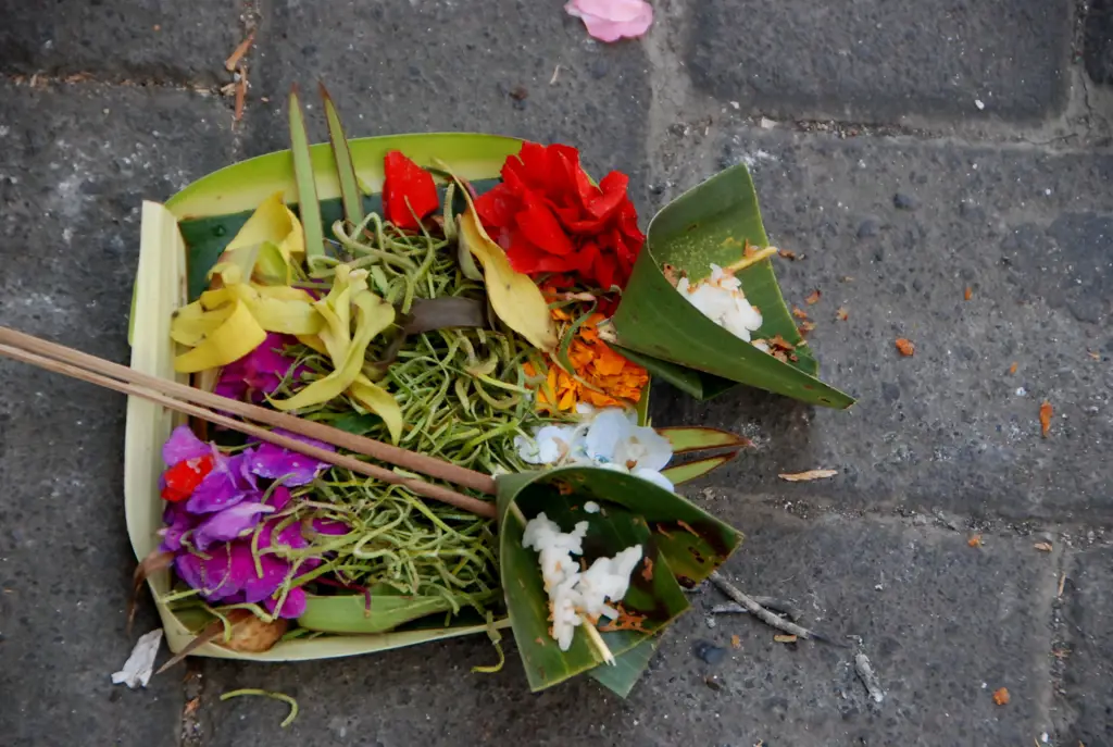 Bunga kamboja sebagai persembahan dalam upacara keagamaan Hindu di Bali.