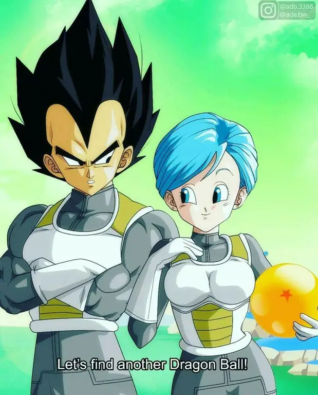 Gambar Vegeta dan Bulma bersama