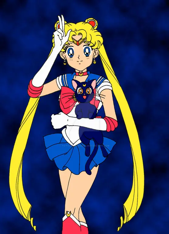 Sailor Moon dan Luna, kucing kesayangannya