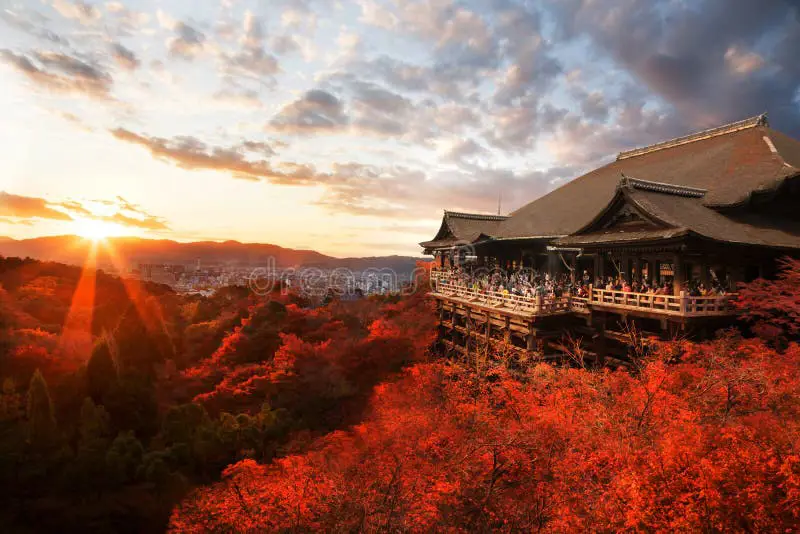 Matahari terbenam dengan latar belakang daun-daun musim gugur di Jepang