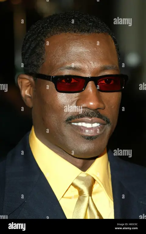 Wesley Snipes sebagai Blade