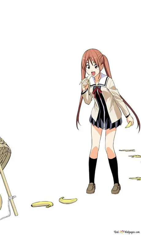 Yoshiko Hanabatake, karakter utama dari anime Aho Girl