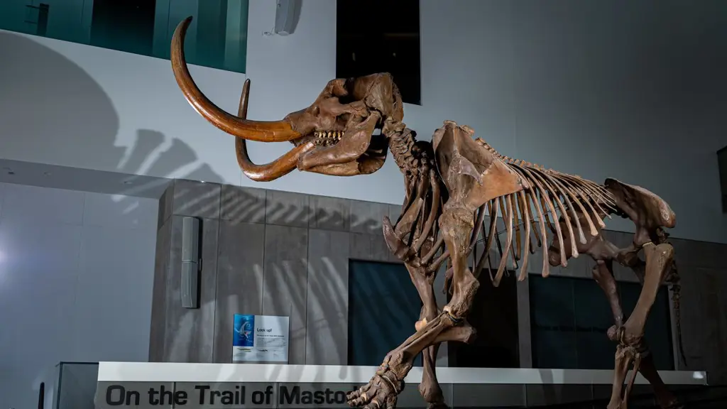 Rekonstruksi habitat mastodon