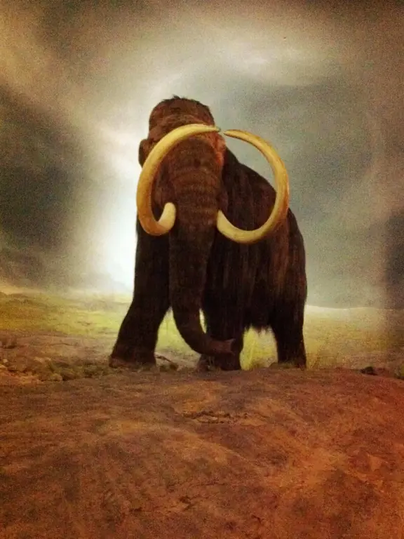 Gambar mammoth berbulu